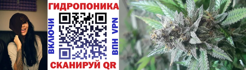 Магазины продажи наркотиков Сковородино Марихуана КОКАИН Гашиш Галлюциногенные грибы Мефедрон