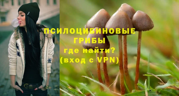 ешки Белоозёрский