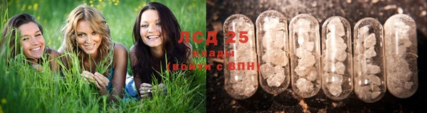 ешки Белоозёрский