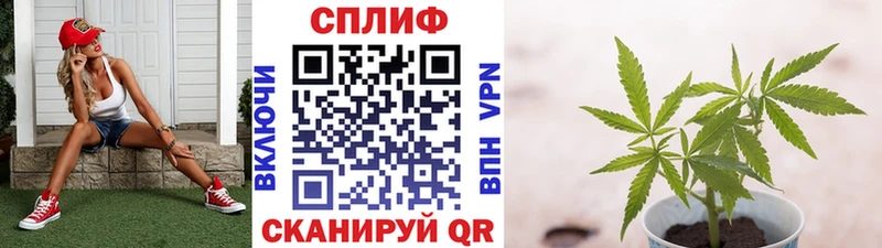 Конопля Bruce Banner  купить закладку  mega ссылка  Сковородино 